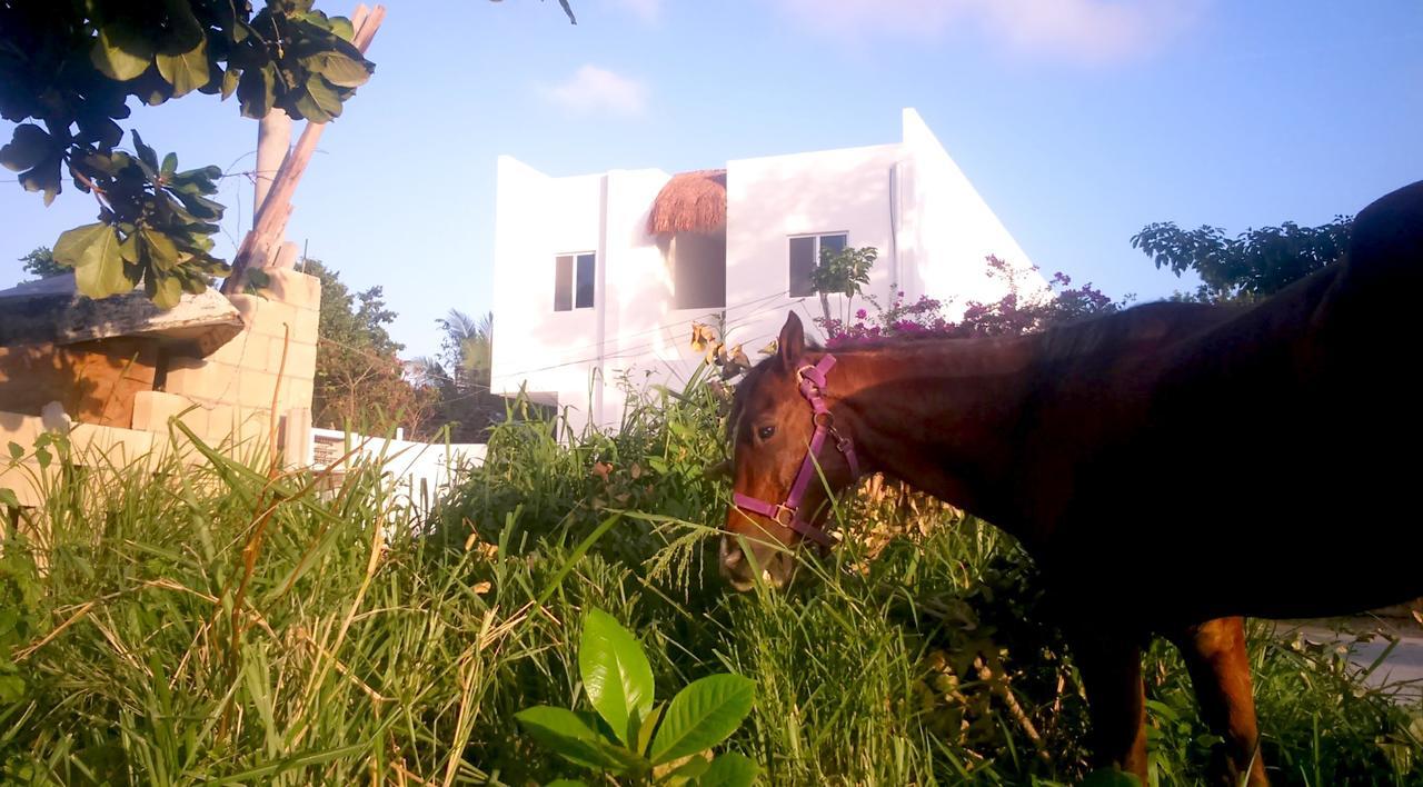 Humanity * Puerto Morelos